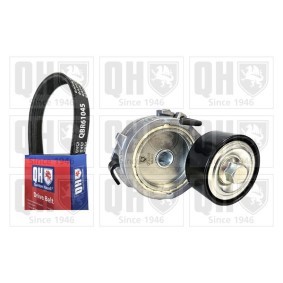 Acquista Kit Cinghie Poly-V da QUINTON HAZELL QDK216 a buon mercato per soli 79,52 €