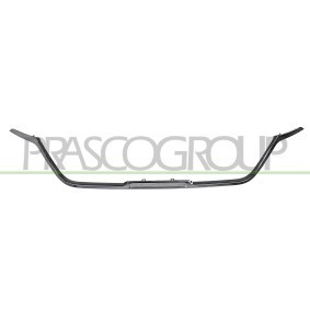Zier- / Schutzleiste, Kühlergitter für RENAULT von PRASCO
