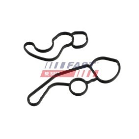 Achetez des Bague d'étanchéité, gaine de suralimentation FAST FT48963 à prix pour 5,64 €