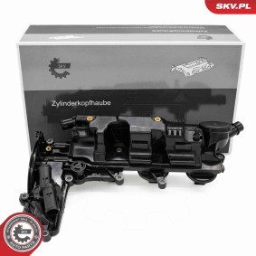 Achetez des Cache-culbuteur ESEN SKV 48SKV135 à prix pour 171,97 €