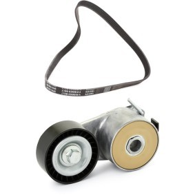 Achetez des Jeu de courroies trapézoïdales à nervures RIDEX PLUS 542R1113P à prix pour 52,59 €