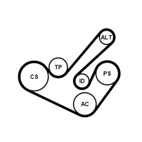 Acquista Kit Cinghie Poly-V da CONTITECH 6PK1555K9 a buon mercato per soli 109,99 €