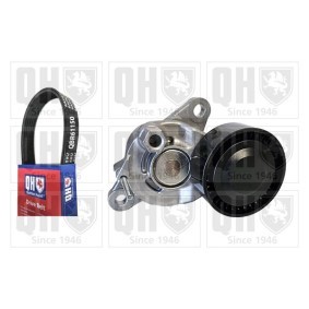 Acquista Kit Cinghie Poly-V da QUINTON HAZELL QDK217 a buon mercato per soli 96,49 €