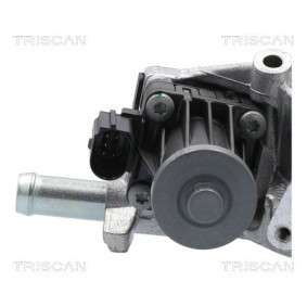 Acquista Valvola EGR da TRISCAN 8813 10118 a buon mercato per soli 435,76 €