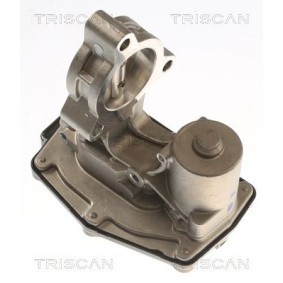 Acquista Valvola EGR da TRISCAN 8813 11023 a buon mercato per soli 274,06 €