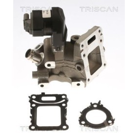 Acquista Valvola EGR da TRISCAN 8813 23043 a buon mercato per soli 507,76 €