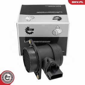 Acquista Debimetro da ESEN SKV 07SKV319 a buon mercato per soli 48,57 €
