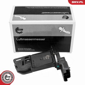 Acquista Debimetro da ESEN SKV 07SKV336 a buon mercato per soli 62,81 €