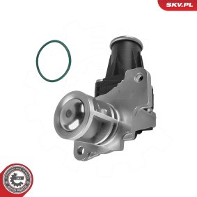 Acquista Valvola EGR da ESEN SKV 14SKV318 a buon mercato per soli 150,62 €