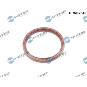 Osta Akselitiiviste, kampiakseli DR.MOTOR AUTOMOTIVE:llä DRM02545 edullisesti hintaan 11,81 €