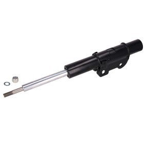 Compre Amortecedor da FEBI BILSTEIN 193155 a um preço baixo por 63,02 €