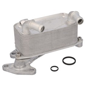 Acquista Radiatore olio, Cambio automatico da FEBI BILSTEIN 196273 a buon mercato per soli 54,22 €
