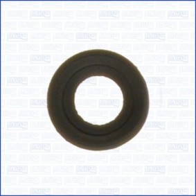 Dichtung, Steuerkettenspanner 00863600 ROVER von AJUSA