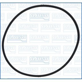 Acquista Guarnizione, Termostato da AJUSA 01318100 a buon mercato per soli 11,83 €