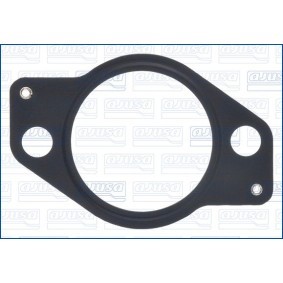 AGR-Ventil-Dichtung 01619100 FIAT FULLBACK von AJUSA