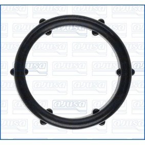 Acquista Guarnizione, Termostato da AJUSA 01732800 a buon mercato per soli 6,49 €