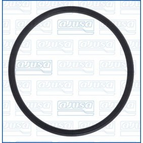 Acquista Guarnizione, Termostato da AJUSA 16031000 a buon mercato per soli 1,49 €