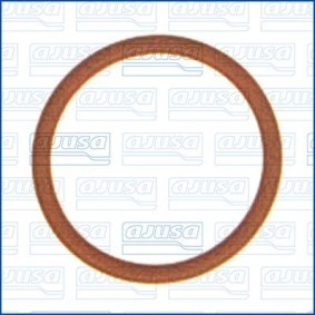Acquista Guarnizione, Termostato da AJUSA 16050900 a buon mercato per soli 1,78 €
