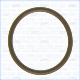 Dichtung, Ölfiltergehäuse 16087200 TOYOTA 4 RUNNER von AJUSA
