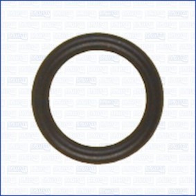 Acquista Guarnizione, Asta controllo livello olio da AJUSA 16088700 a buon mercato per soli 1,87 €