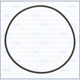 Acquista Guarnizione, Pompa depressione da AJUSA 16096100 a buon mercato per soli 9,24 €