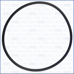 Compre Anilha vedante, conduta de admissão, caixa do filtro de ar da AJUSA 16116200 a um preço baixo por 7,53 €