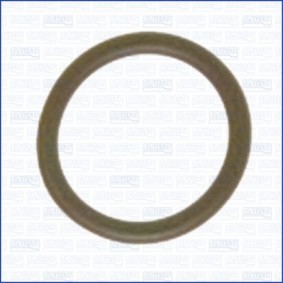 Acquista Guarnizione, Asta controllo livello olio da AJUSA 16501600 a buon mercato per soli 0,74 €