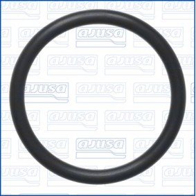 Acquista Guarnizione, Carter filtro olio da AJUSA 16533300 a buon mercato per soli 5,07 €