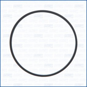Dichtung, Thermostatgehäuse 24050400