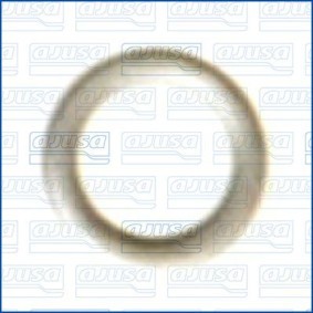 Dichtung, Kraftstoffleitung 26002700 FIAT von AJUSA