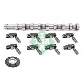 Acquista Kit albero a camme da INA 428 0056 30 a buon mercato per soli 235,03 €
