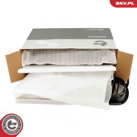 Køb Gearknop af ESEN SKV 63SKV554 til den lave pris 164,56 DKK