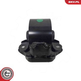Compre Suporte, motor da ESEN SKV 75SKV339 a um preço baixo por 17,58 €