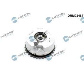 Acquista Regolatore albero a camme da DR.MOTOR AUTOMOTIVE DRM02487 a buon mercato per soli 141,73 €