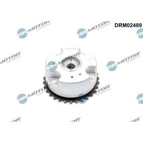 Acquista Regolatore albero a camme da DR.MOTOR AUTOMOTIVE DRM02489 a buon mercato per soli 162,65 €