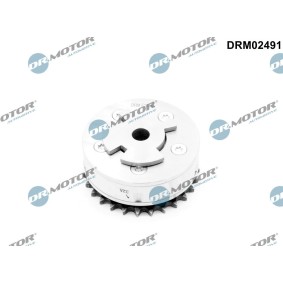 Acquista Regolatore albero a camme da DR.MOTOR AUTOMOTIVE DRM02491 a buon mercato per soli 365,84 €