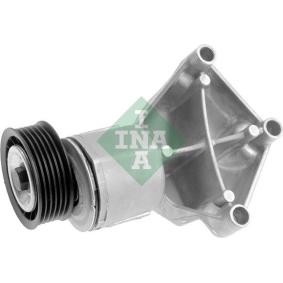 Acquista Braccio tenditore, Cinghia Poly-V da INA 534 0131 20 a buon mercato per soli 100,15 €