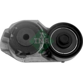 Acquista Braccio tenditore, Cinghia Poly-V da INA 534 0161 10 a buon mercato per soli 221,96 €