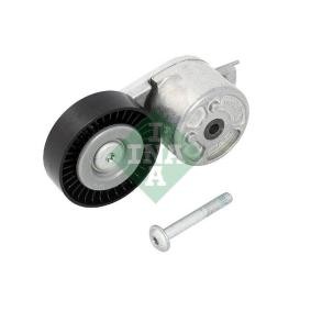 Acquista Braccio tenditore, Cinghia Poly-V da INA 534 0412 10 a buon mercato per soli 54,68 €