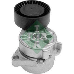 Achetez des Poulie damper (vilebrequin) INA 544 0020 10 à prix pour 124,38 €