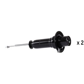 Stoßdämpfer für DODGE von RIDEX