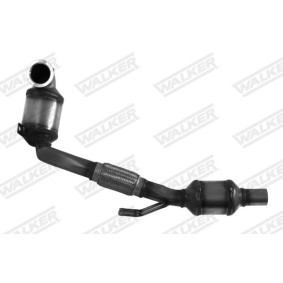 Köp Partikelfilter (DPF) av WALKER 96513 till det låga priset 16029,26 kr