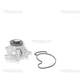 Comprar Bomba de agua de TRISCAN 8600 69016 a bajo precio de 54,46 €