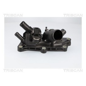 Achetez des Thermostat d'eau TRISCAN 8620 60187 à prix pour 80,56 €