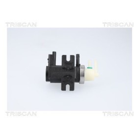 Acquista Convertitore pressione, Controllo gas scarico da TRISCAN 8813 10058 a buon mercato per soli 56,73 €