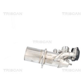 Acquista Valvola EGR da TRISCAN 8813 29117 a buon mercato per soli 268,03 €