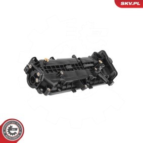 Achetez des Cache-culbuteur ESEN SKV 48SKV171 à prix pour 169,33 €