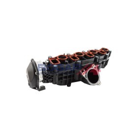 Acquista Collettore di aspirazione da BOGAP A1712148 a buon mercato per soli 269,09 €