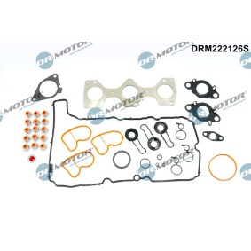 Dichtungsvollsatz, Motor DRM222126S
