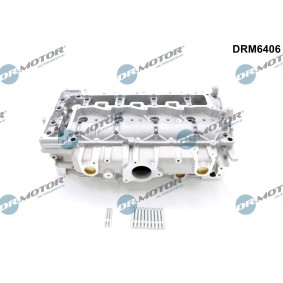 Acquista Testata motore da DR.MOTOR AUTOMOTIVE DRM6406 a buon mercato per soli 890,79 €